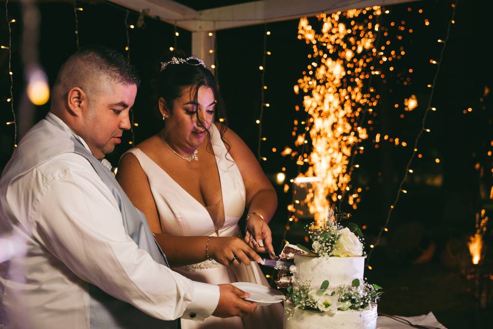 Casamento Telma