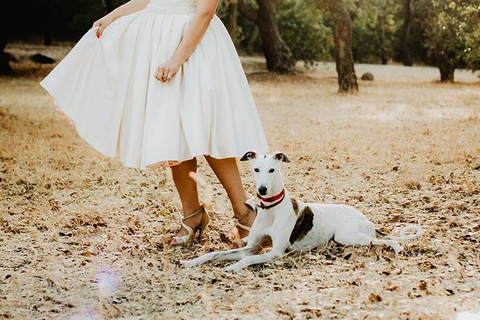 Vestido charlotte