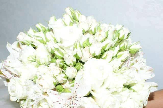Flores