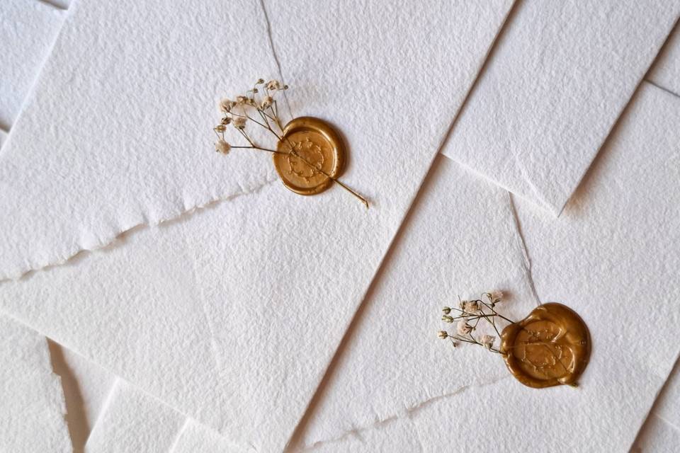 Branco Studio Design