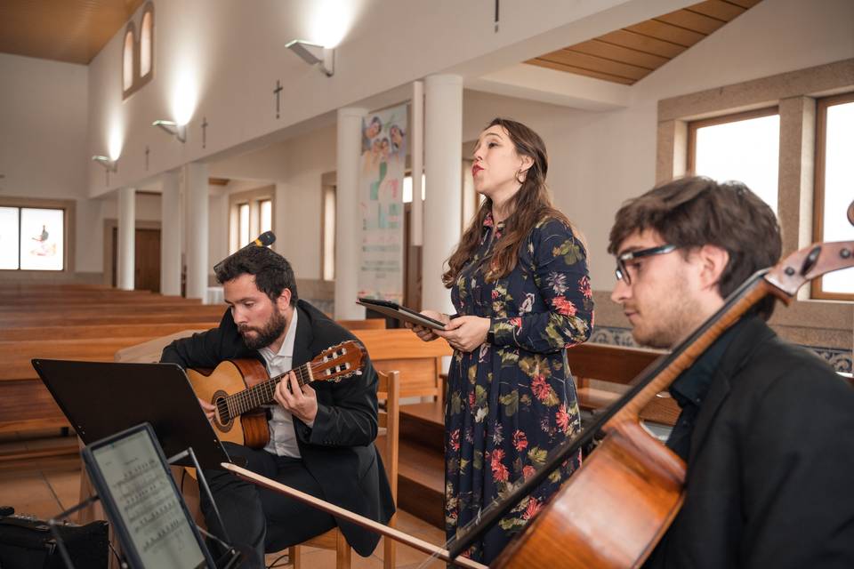 Trio Harmonia perfeita