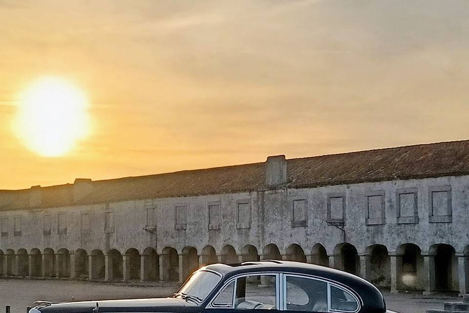 Jaguar mk9