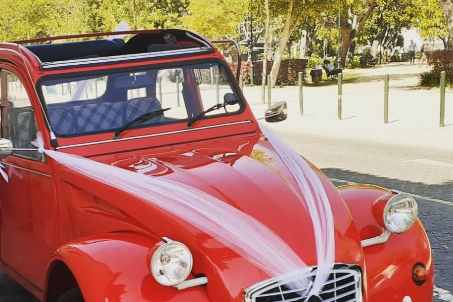 Citroen 2cv decorado