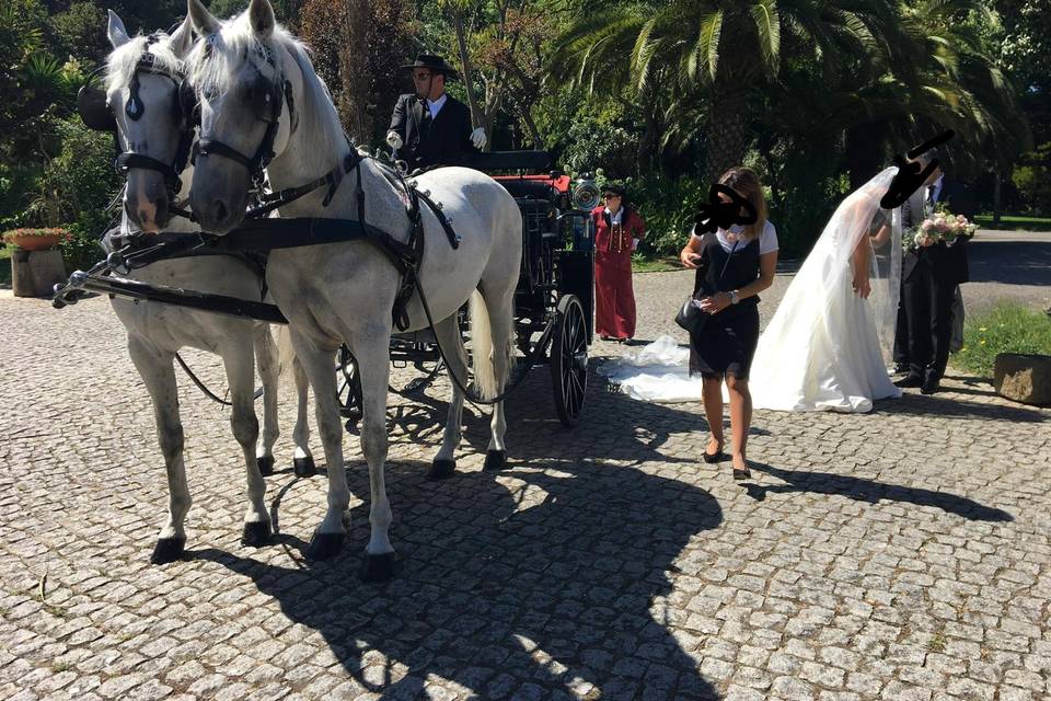 Casamento de sonho