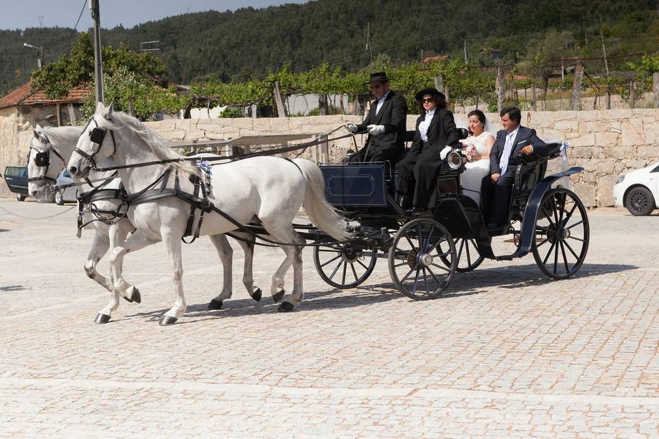 Charretes para Casamentos