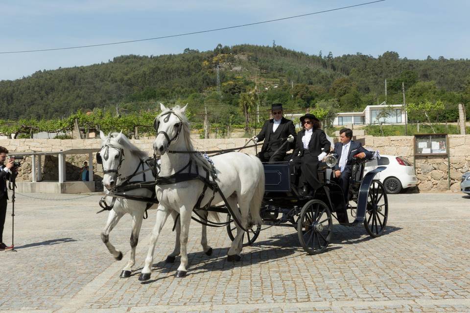 Charretes para Casamentos