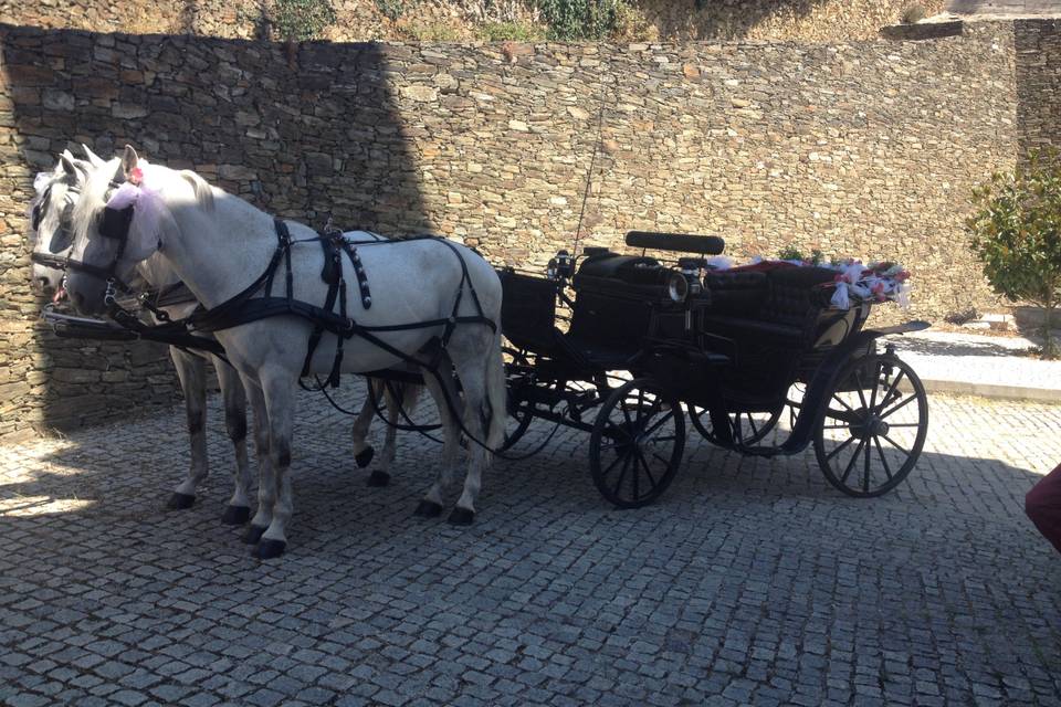 Charretes para Casamentos