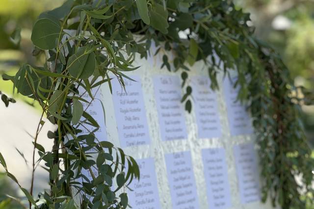 Moldura de eucalipto