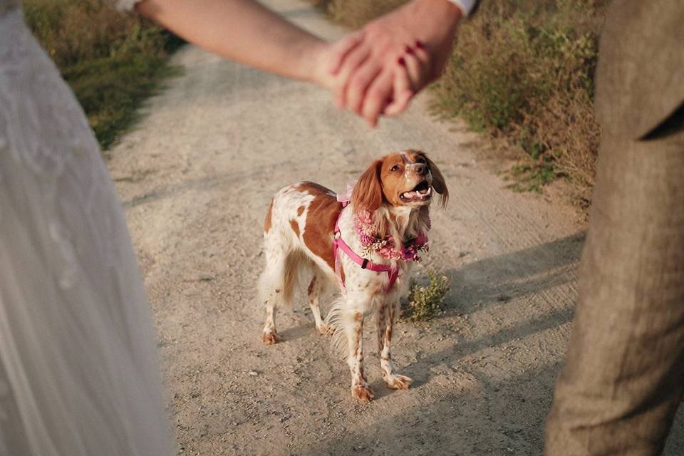 Marta & Pedro