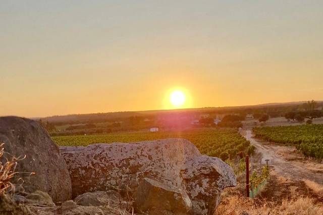 Herdade Do Corval3