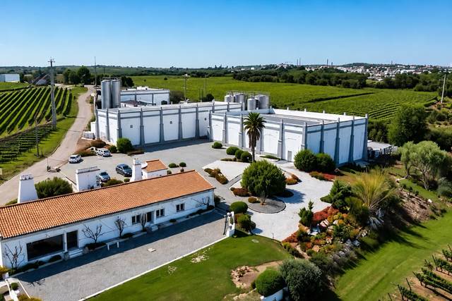 Aliestre Vineyards