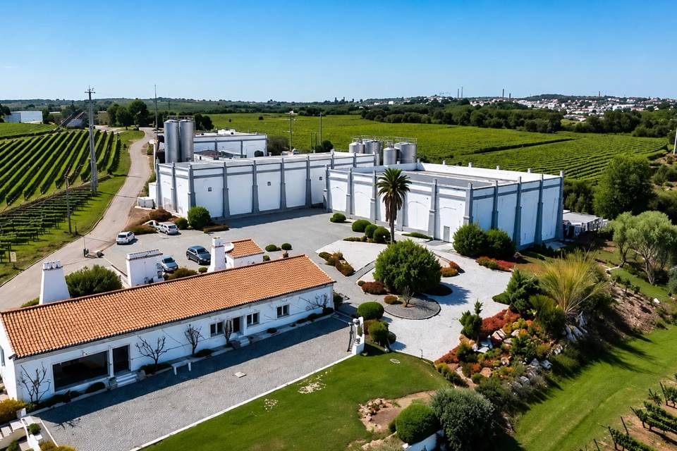 Aliestre Vineyards
