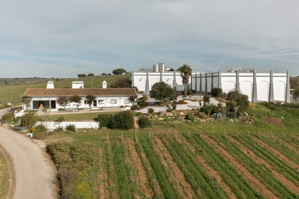 Vista Aérea