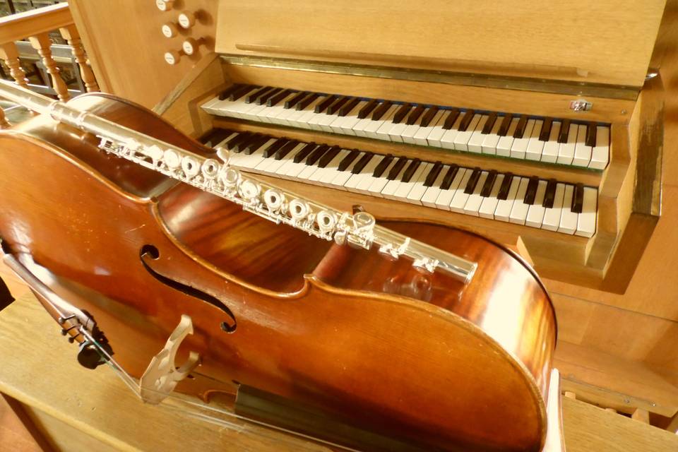 Flutoncello Eventos