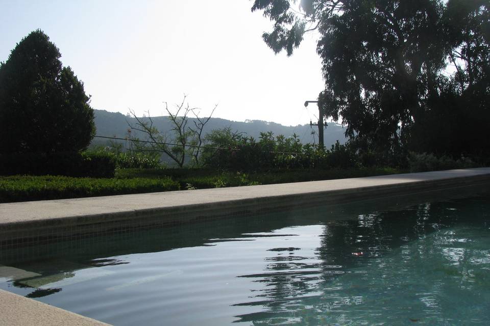 Jardim