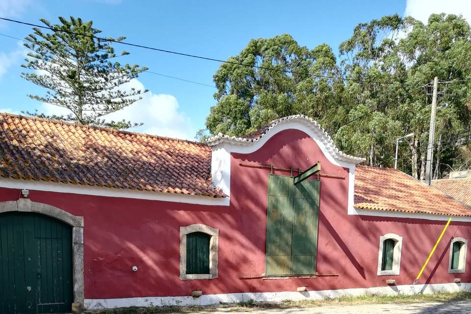 Adega d. António