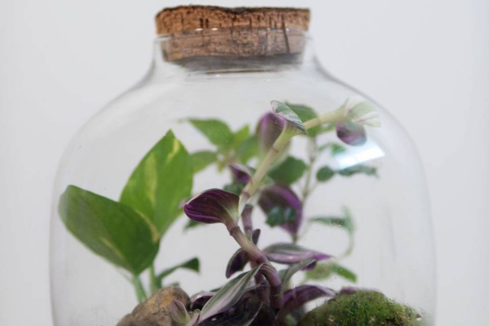 Wedding gift