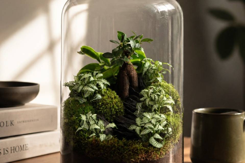 Wedding gift