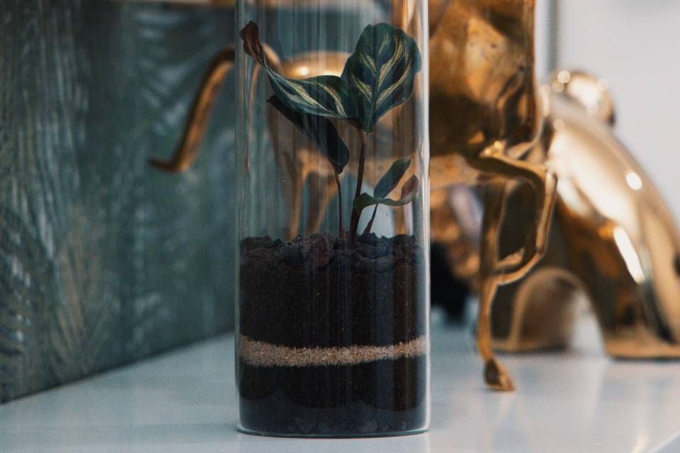 Wedding gift