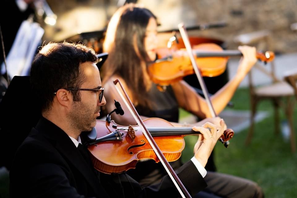 String Quartet