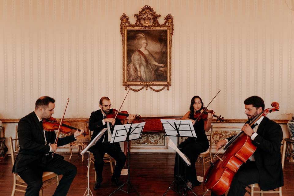 Quarteto de cordas