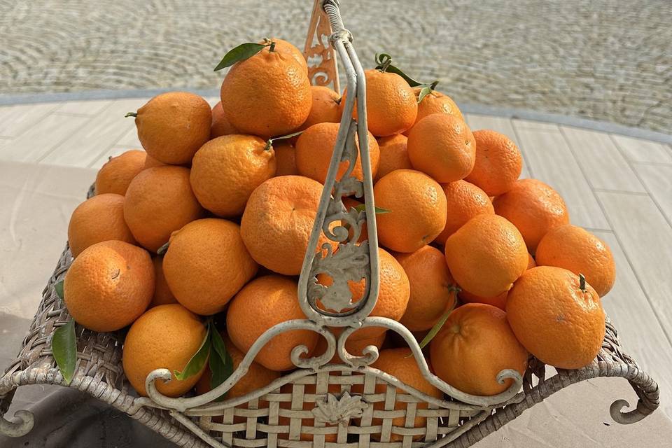 Laranjas do refuge