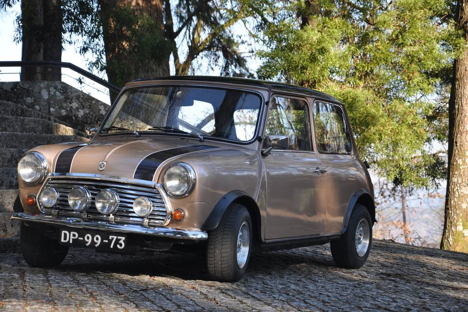 Mini 1000 1974