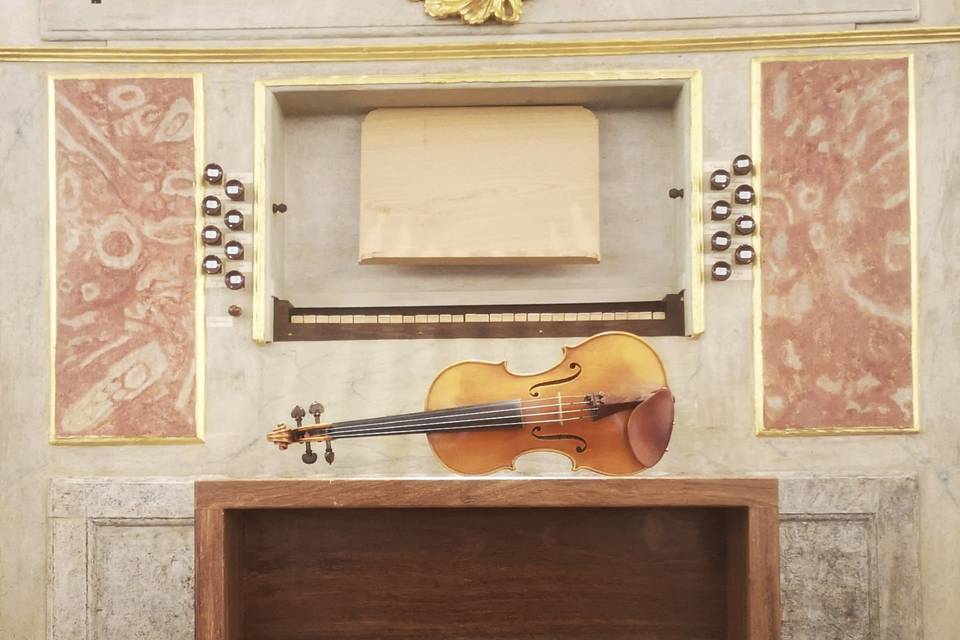 Violino