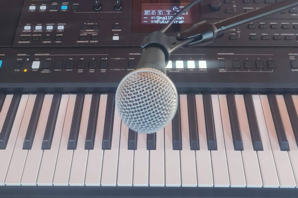 Carlos Gonçalves- Músico