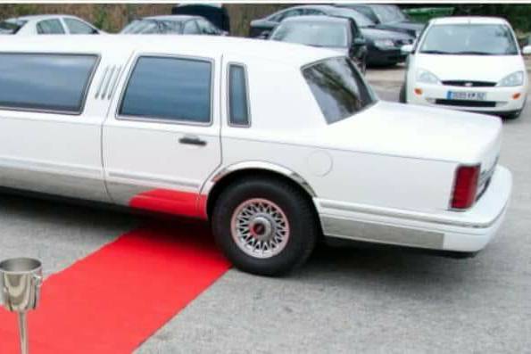 Limo Lateral