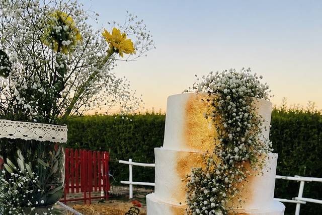 Casamento