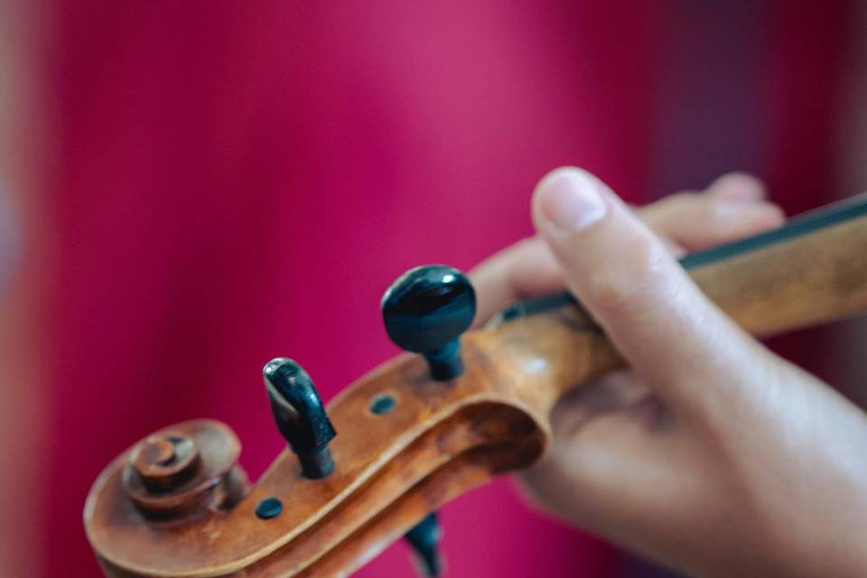 Violino