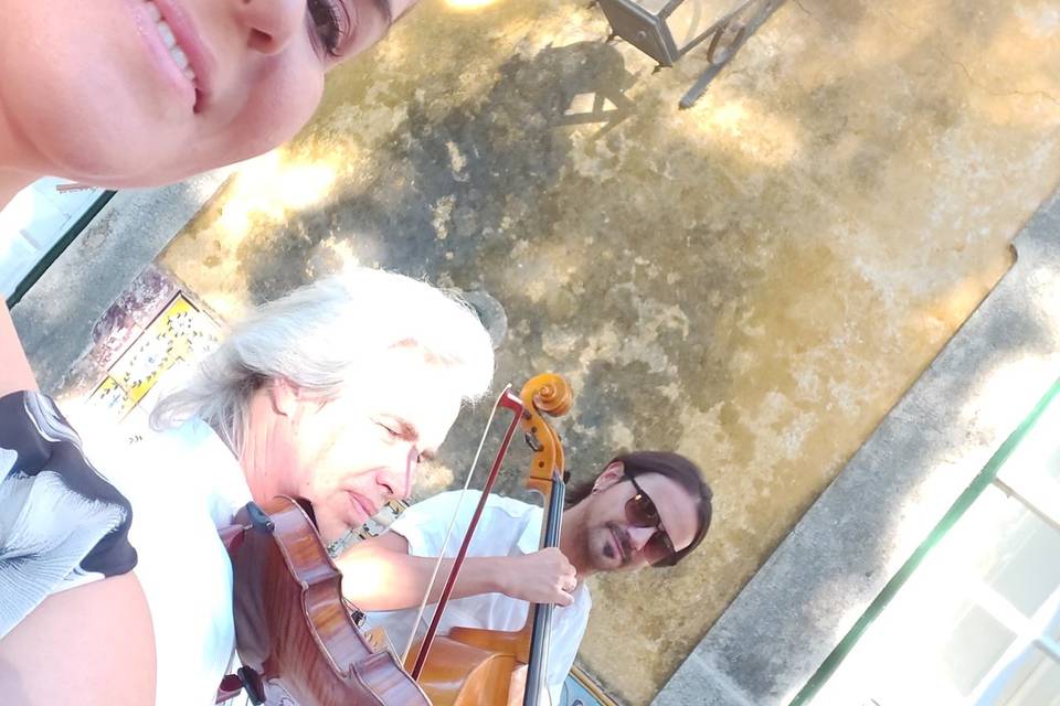 Strings n'Vox Trio