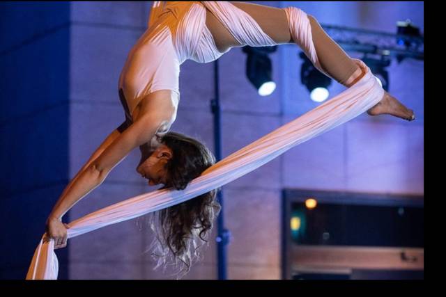 Performance Aerea