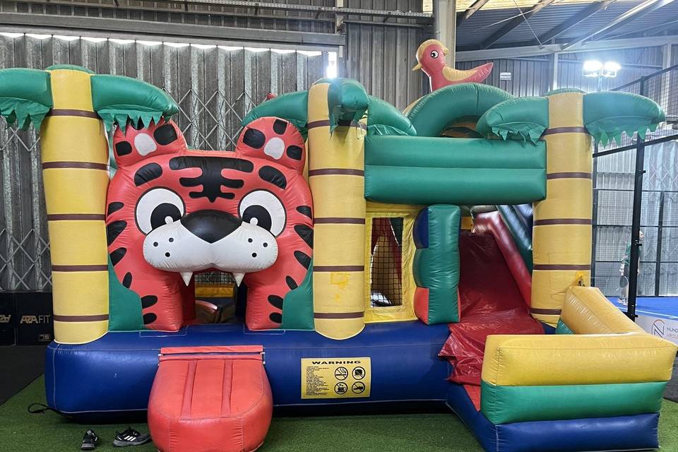 Insuflável Tigre