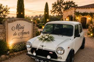 Mini do Amor