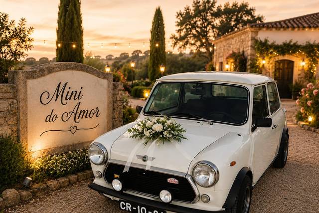 Mini do Amor