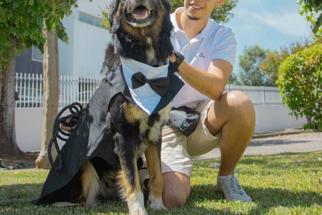 CreativePets Petsitting