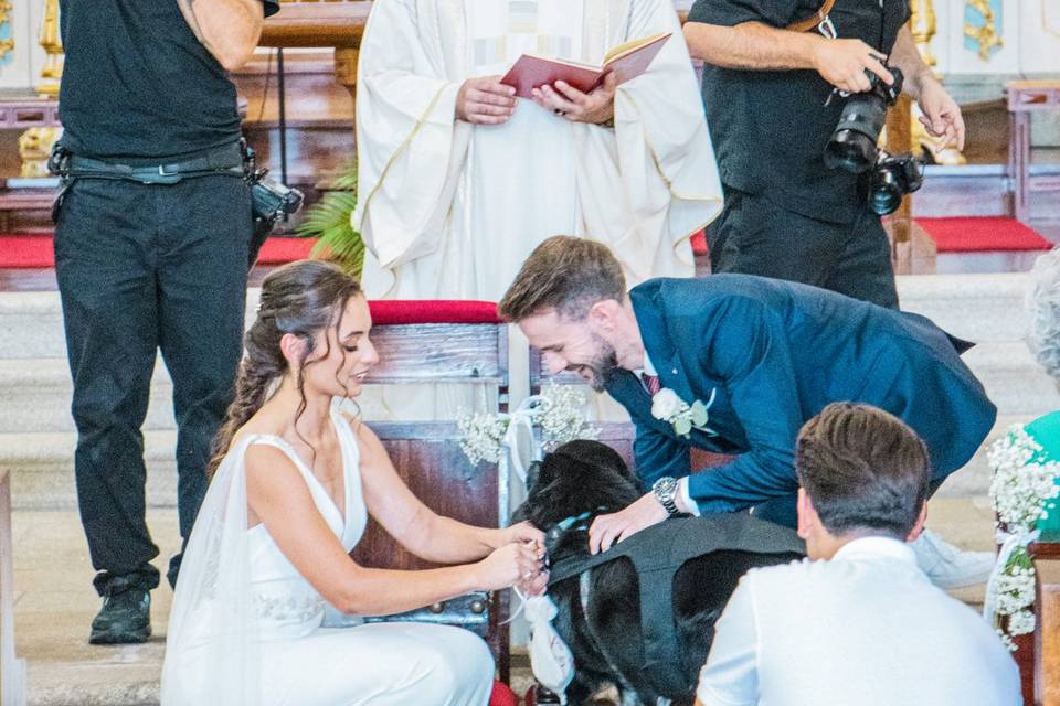 Cão ao altar