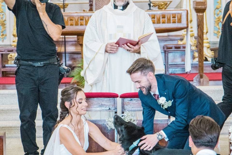 Cão leva alianças