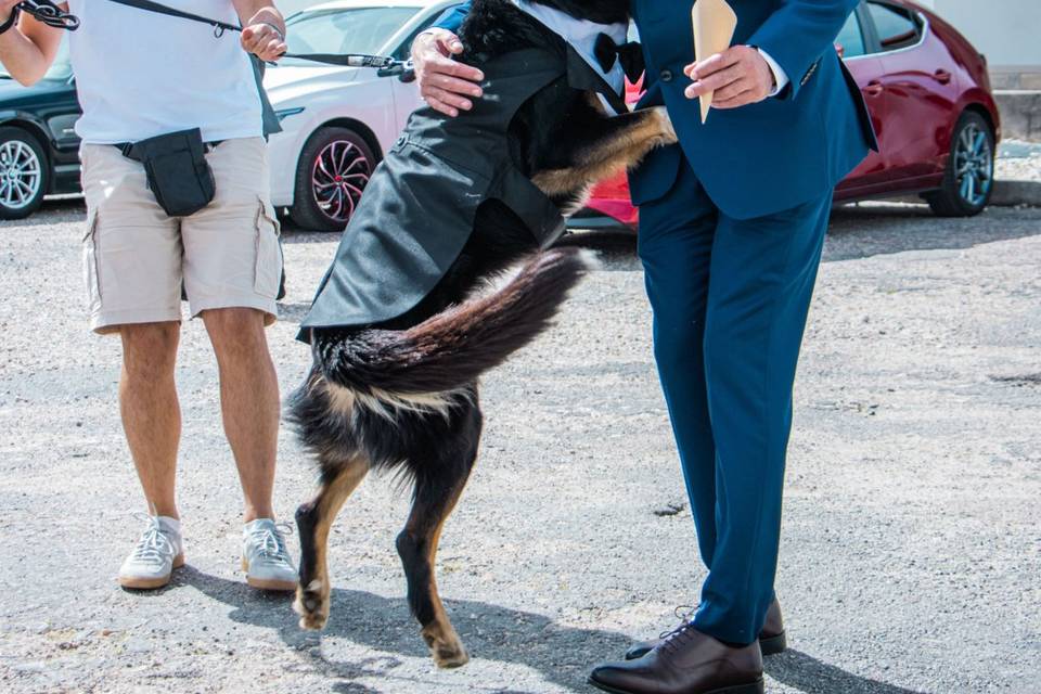 Casamento