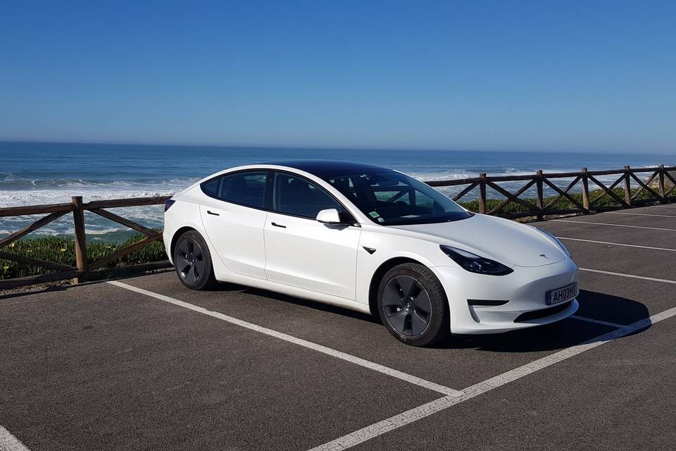 Tesla Top Trips - Planeta do Avesso