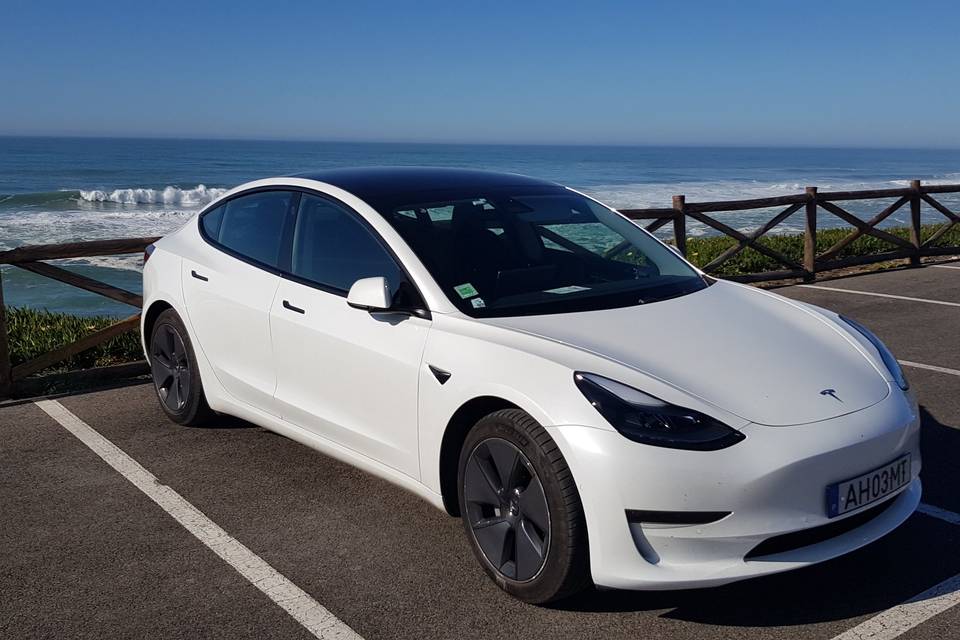 Tesla Top Trips - Planeta do Avesso
