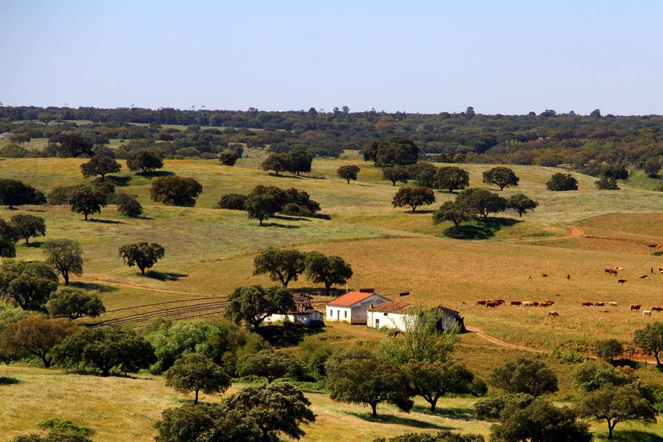 Quarto duplo - vista campo