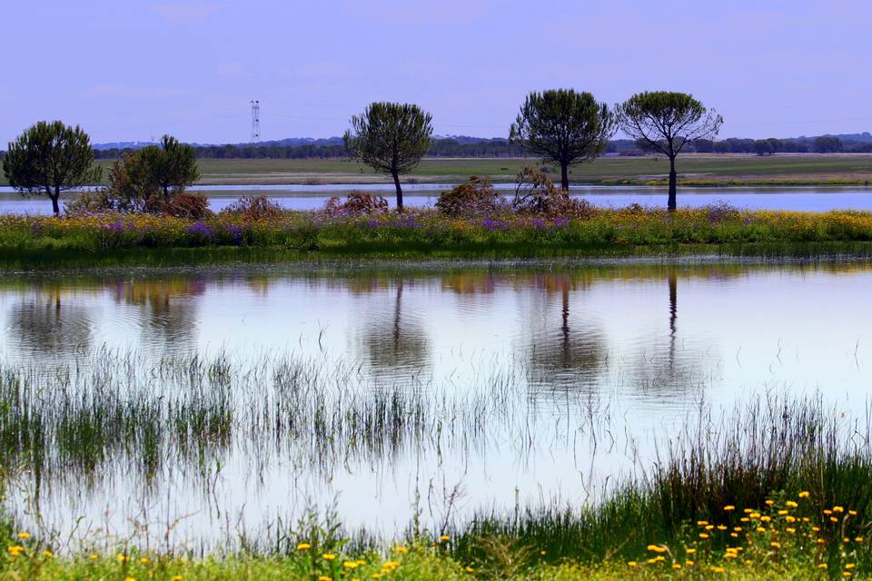 Barragem