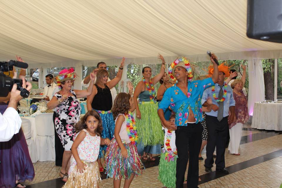 Festa hawaiana