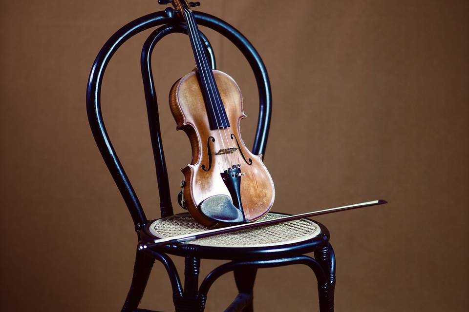 O Instrumento - Violino