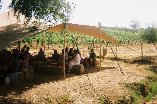 Zona Exterior HSM