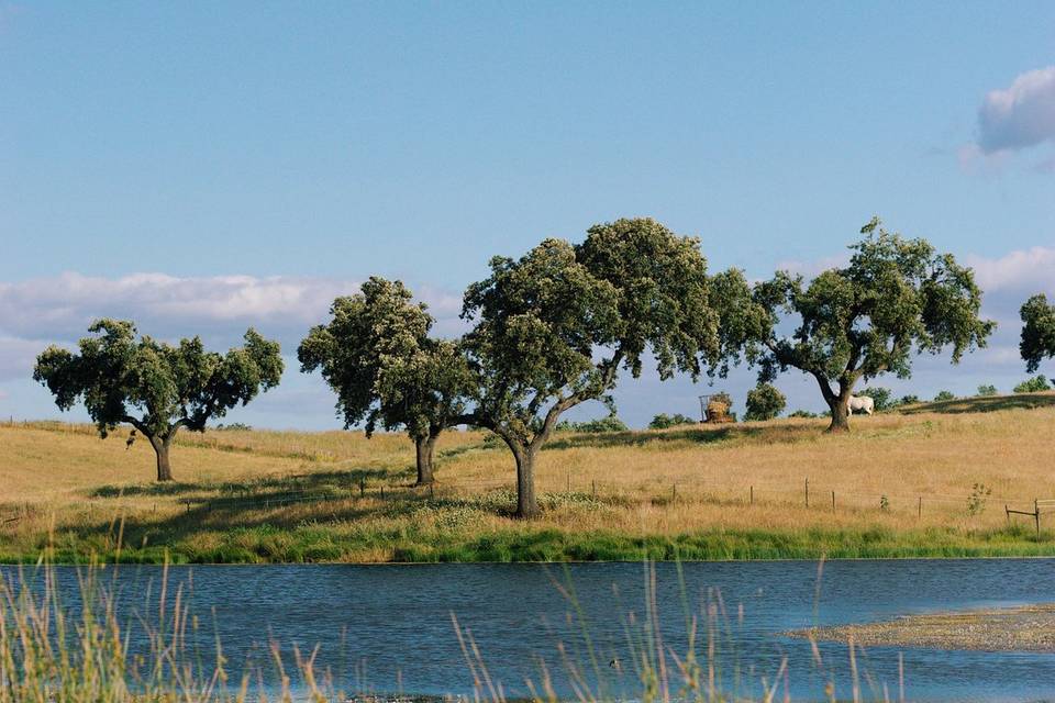 Zona Lago HSM