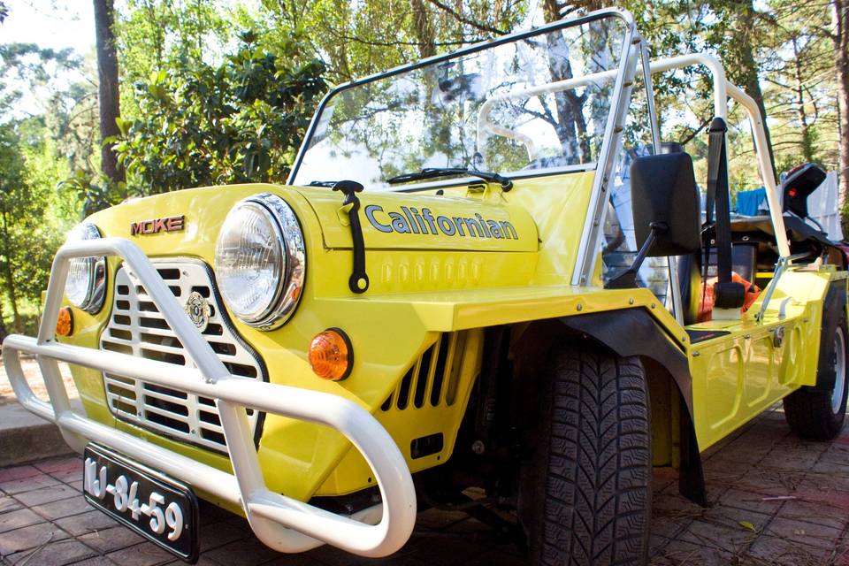 Mini moke